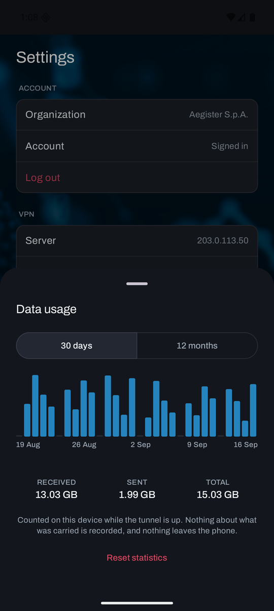 Grafico dei consumi dati a 30 giorni
